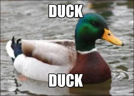 duck-duck0