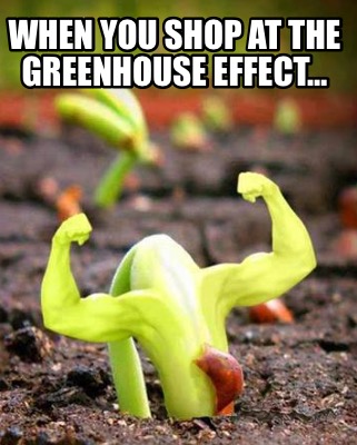 Meme Creator - Funny When you use fish fertilizer in your garden Meme Generator at ! Meme Creator - Funny When you use fish fertilizer in your garden Meme Generator at !