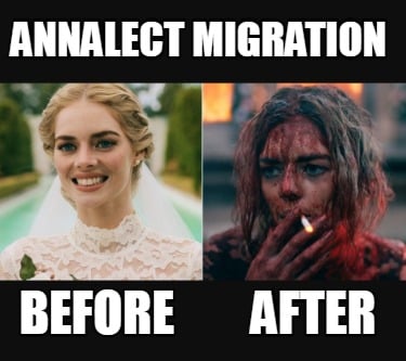 annalect-migration-before-after