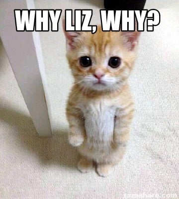 why-liz-why