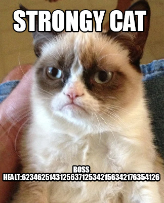 strongy-cat-boss-healt6234625143125637125342156342176354126