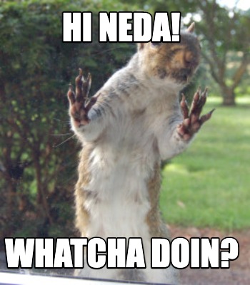 hi-neda-whatcha-doin