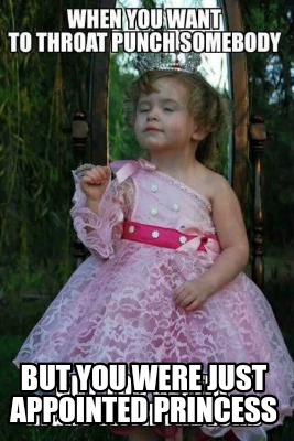 but-you-were-just-appointed-princess