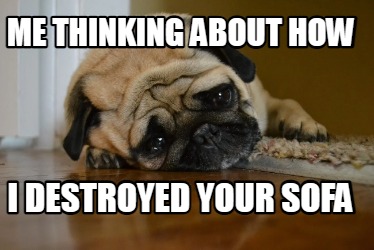 me-thinking-about-how-i-destroyed-your-sofa