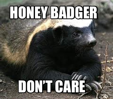 honey-badger-dont-care1