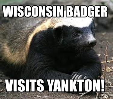 wisconsin-badger-visits-yankton