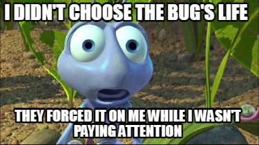 i-didnt-choose-the-bugs-life-they-forced-it-on-me-while-i-wasnt-paying-attention