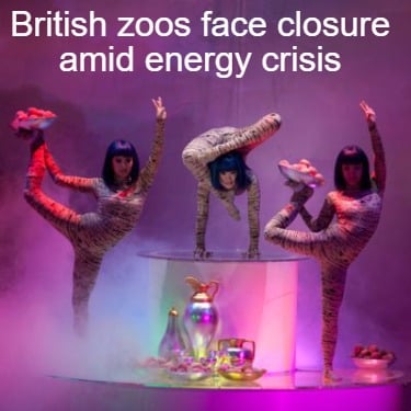british-zoos-face-closure-amid-energy-crisis