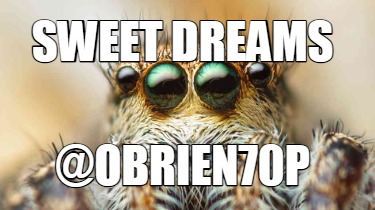 sweet-dreams-obrien70p