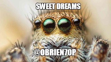 sweet-dreams-obrien70p7