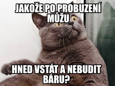 jakoe-po-probuzen-mu-hned-vstt-a-nebudit-bru