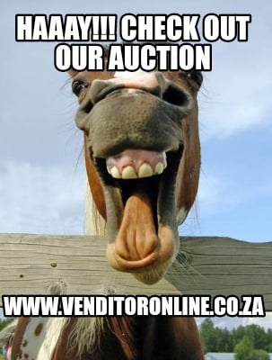 haaay-check-out-our-auction-www.venditoronline.co.za