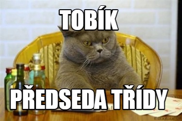 tobk-pedseda-tdy