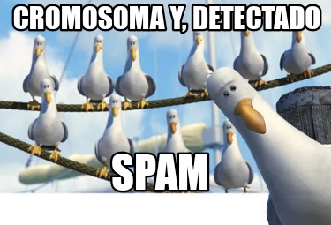 cromosoma-y-detectado-spam