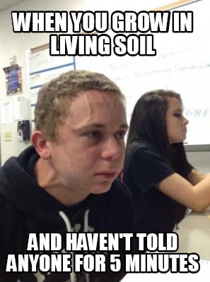 when-you-grow-in-living-soil-and-havent-told-anyone-for-5-minutes