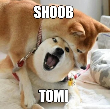 shoob-tomi