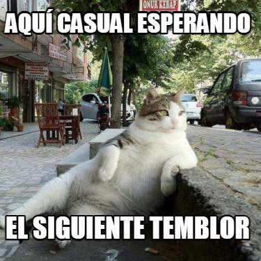 aqu-casual-esperando-el-siguiente-temblor