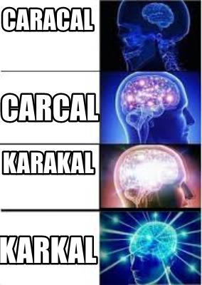 caracal-karkal-carcal-karakal