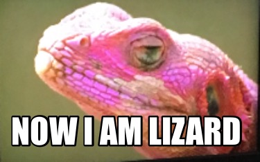 now-i-am-lizard
