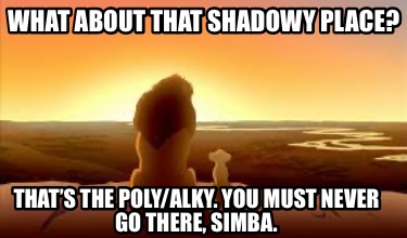 what-about-that-shadowy-place-thats-the-polyalky.-you-must-never-go-there-simba