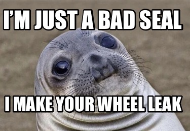 im-just-a-bad-seal-i-make-your-wheel-leak