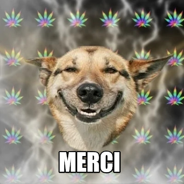 merci2