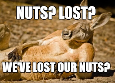 nuts-lost-weve-lost-our-nuts