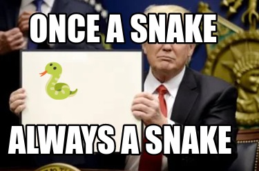 once-a-snake-always-a-snake-
