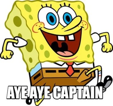 aye-aye-captain94