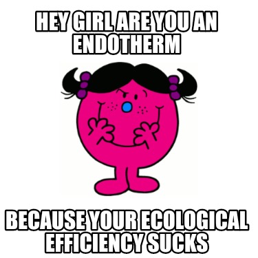 hey-girl-are-you-an-endotherm-because-your-ecological-efficiency-sucks