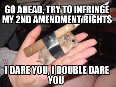go-ahead-try-to-infringe-my-2nd-amendment-rights-i-dare-you-i-double-dare-you1