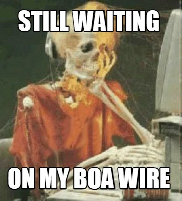 still-waiting-on-my-boa-wire