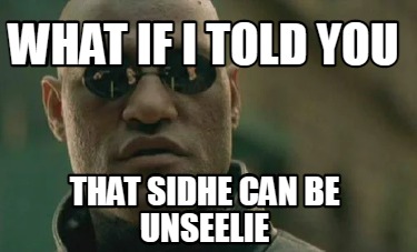 what-if-i-told-you-that-sidhe-can-be-unseelie