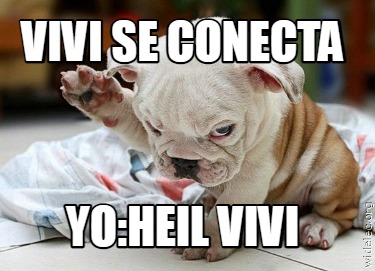 vivi-se-conecta-yoheil-vivi