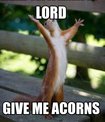 lord-give-me-acorns