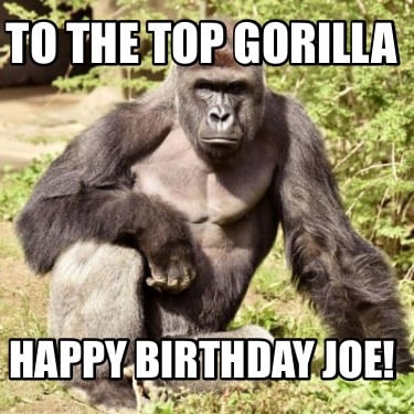 to-the-top-gorilla-happy-birthday-joe