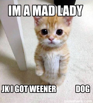 im-a-mad-lady-jk-i-got-weener-dog