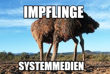 impflinge-systemmedien