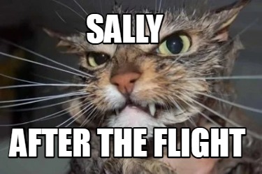 sally-after-the-flight