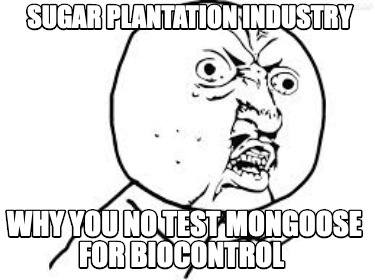 sugar-plantation-industry-why-you-no-test-mongoose-for-biocontrol