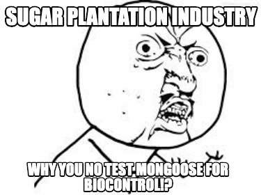 sugar-plantation-industry-why-you-no-test-mongoose-for-biocontrol0