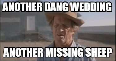 another-dang-wedding-another-missing-sheep
