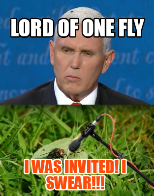 lord-of-one-fly-i-was-invited-i-swear