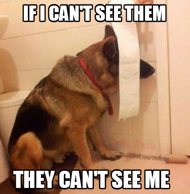 if-i-cant-see-them-they-cant-see-me