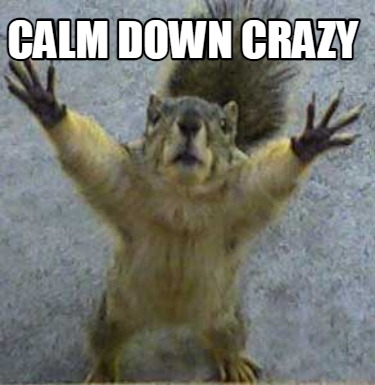 calm-down-crazy