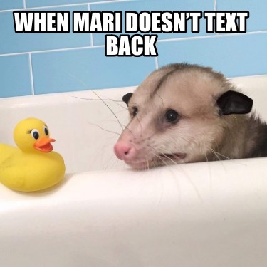 when bae doesn't text back meme