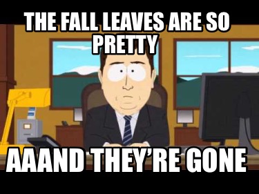 the-fall-leaves-are-so-pretty-aaand-theyre-gone