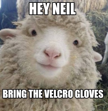 hey-neil-bring-the-velcro-gloves