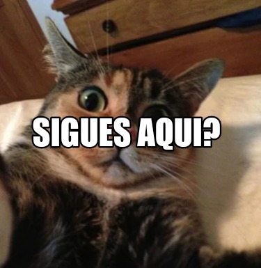 sigues-aqui