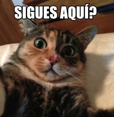sigues-aqu